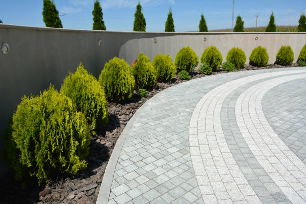 Reasons to Select Us for Your Driveway Paving Requirements in Mount Vernon, IA